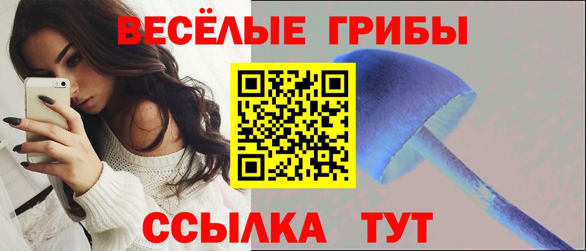 что такое наркотик  Псилоцибиновые грибы мухоморы  Вход с VPN  Владикавказ 