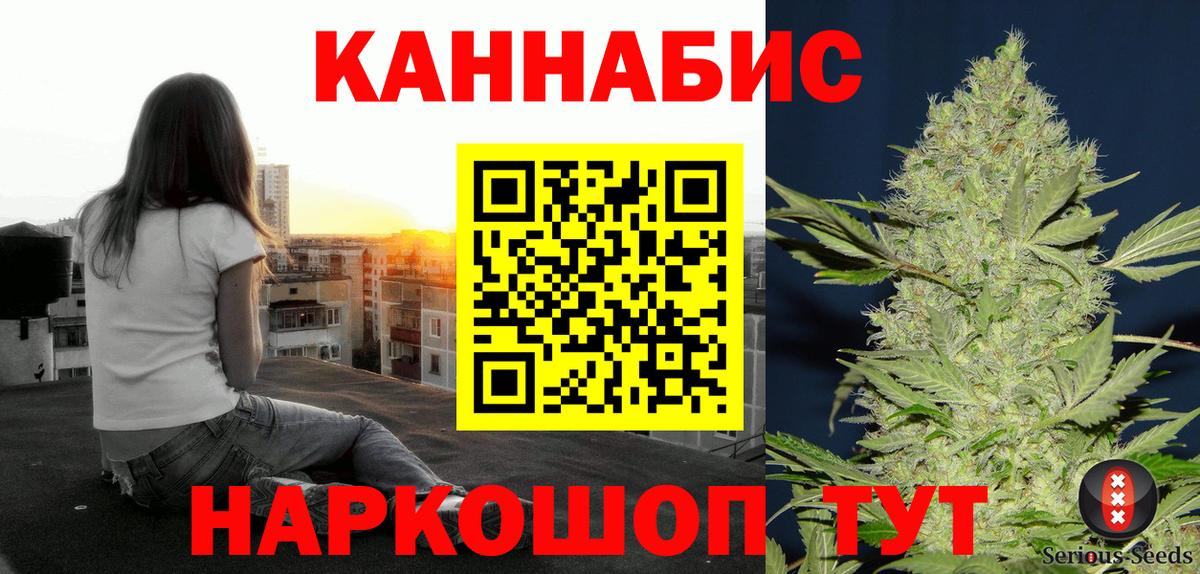 Канабис сатива Владикавказ